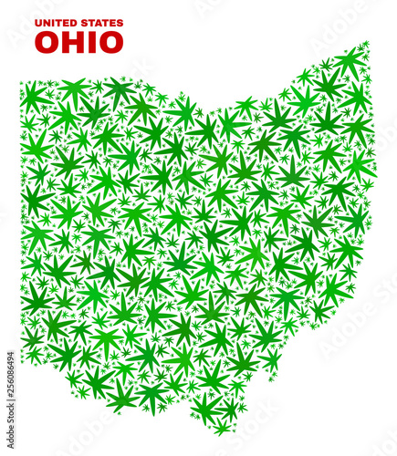 Vector marijuana Ohio State map collage. Template with green weed leaves for hemp legalize campaign. Vector Ohio State map is organized with weed leaves.