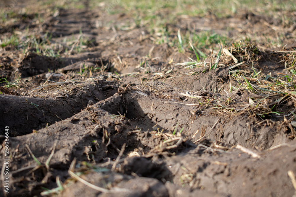 a tractor track in the dirt a tractor track in the dirt