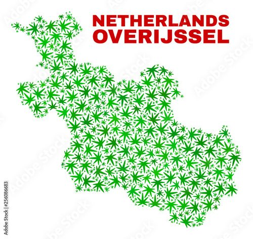 Vector cannabis Overijssel Province map mosaic. Concept with green weed leaves for marijuana legalize campaign. Vector Overijssel Province map is formed with marijuana leaves.