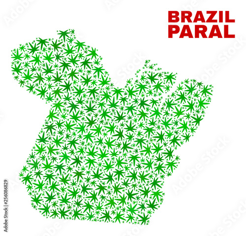 Vector marijuana Paral State map mosaic. Template with green weed leaves for weed legalize campaign. Vector Paral State map is designed with herbal leaves.
