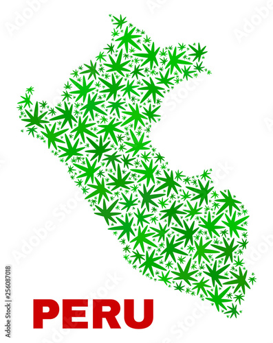 Vector marijuana Peru map collage. Concept with green weed leaves for marijuana legalize campaign. Vector Peru map is created with marijuana leaves.