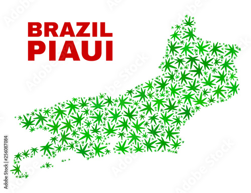 Vector cannabis Piaui State map mosaic. Template with green weed leaves for cannabis legalize campaign. Vector Piaui State map is designed from cannabis leaves.