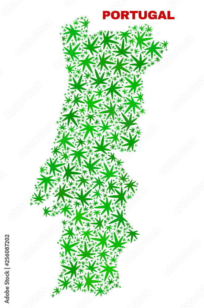 Vector cannabis Portugal map mosaic. Template with green weed leaves for weed legalize campaign. Vector Portugal map is created from cannabis leaves. Vector cannabis Portugal map mosaic. Template with green weed leaves for weed legalize campaign. Vector Portugal map is created from cannabis leaves.
