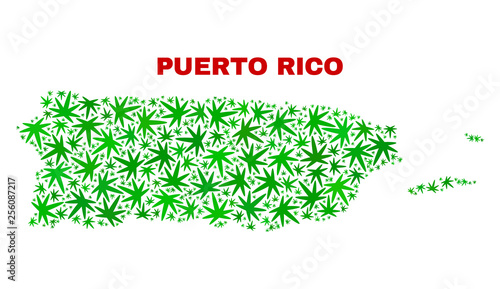 Vector cannabis Puerto Rico map mosaic. Concept with green weed leaves for cannabis legalize campaign. Vector Puerto Rico map is formed with weed leaves.