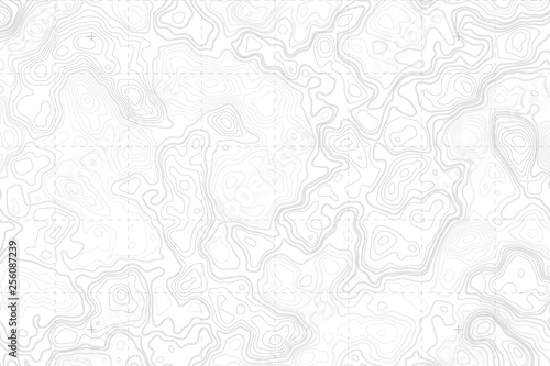 Abstract Blank Detailed Topographic Contour Map Subtle White Vector Background. Topographic Cartography. Topographic Map. Topographic Relief. Topography Map. Topography Relief  photo