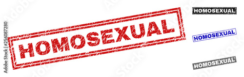 Grunge HOMOSEXUAL rectangle stamp seals isolated on a white background. Rectangular seals with grunge texture in red, blue, black and gray colors.