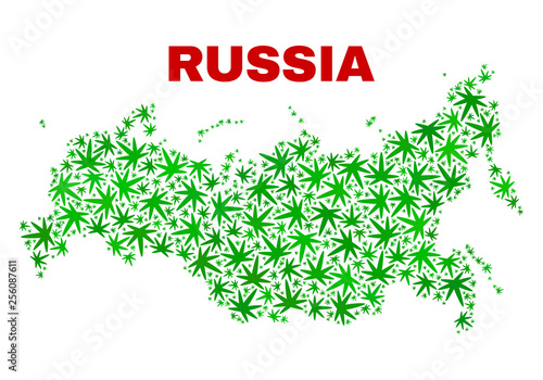 Vector cannabis Russia map mosaic. Concept with green weed leaves for weed legalize campaign. Vector Russia map is formed with cannabis leaves.