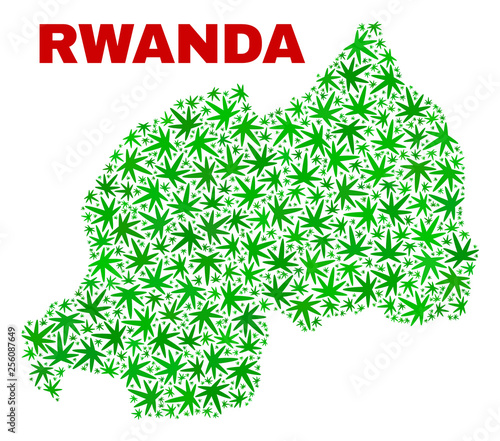 Vector marijuana Rwanda map collage. Concept with green weed leaves for weed legalize campaign. Vector Rwanda map is composed with weed leaves.