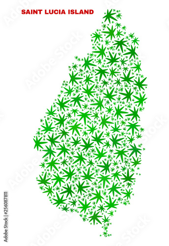 Vector cannabis Saint Lucia Island map collage. Template with green weed leaves for weed legalize campaign. Vector Saint Lucia Island map is constructed with weed leaves.