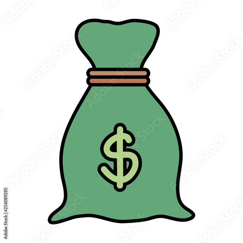sack with coins dollars