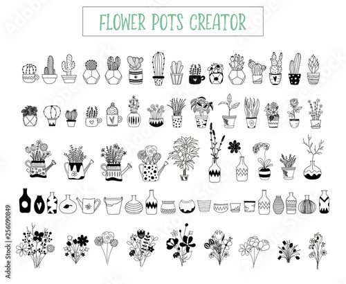 Flowers and pots