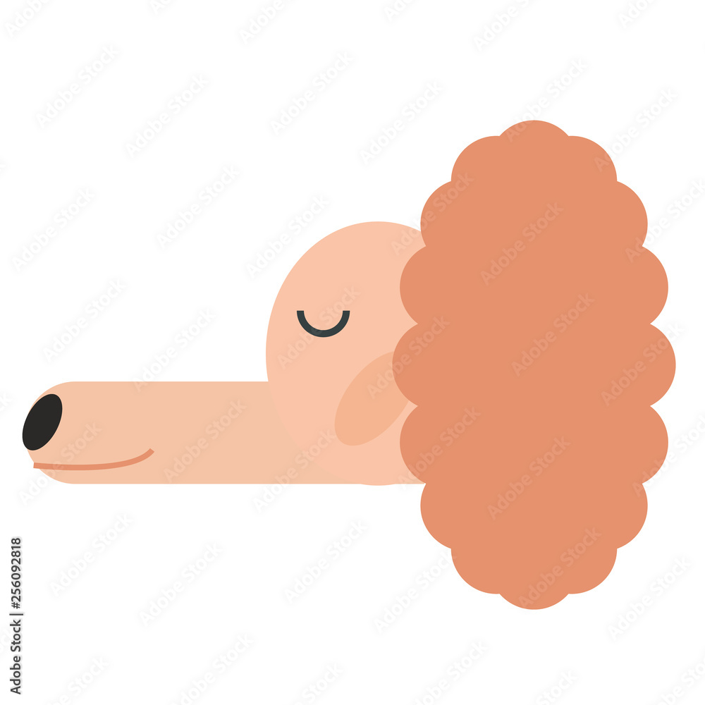 Dog s head flat illustration Dog s head flat illustration