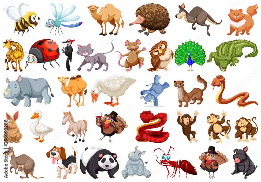 Fototapeta premium Set of cartoon animal