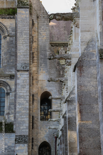 Picardie - Aisne - Laon - Les gargouilles de la cathédrale représentant les 7 péchés capitaux