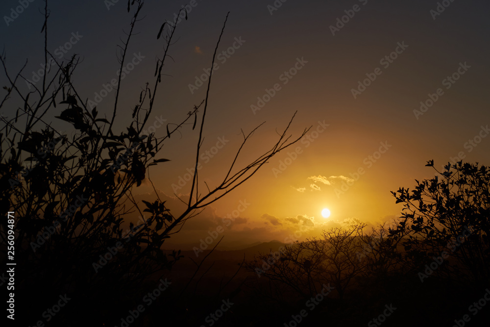 Fototapeta premium atardecer