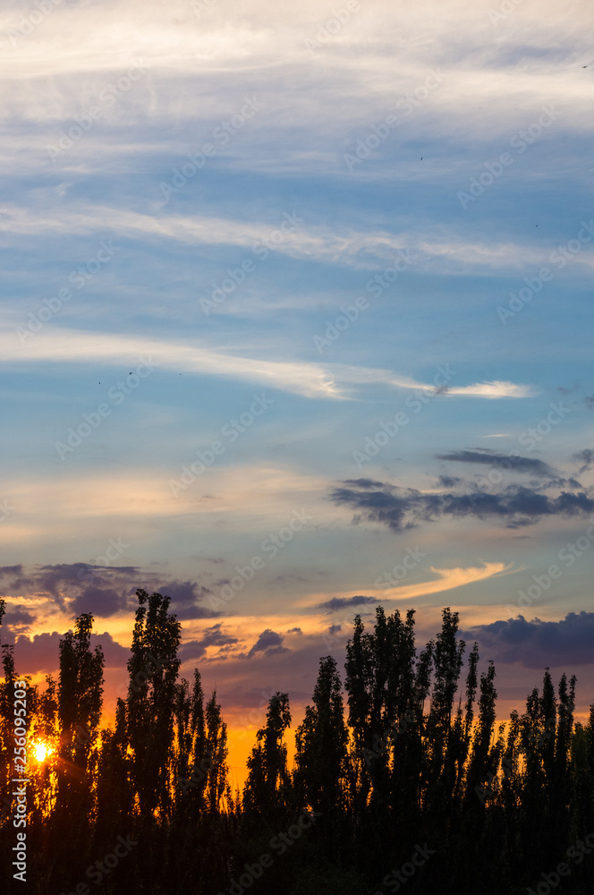 Landscape with dramatic light - beautiful golden sunset with saturated sky and clouds. Landscape with dramatic light - beautiful golden sunset with saturated sky and clouds.