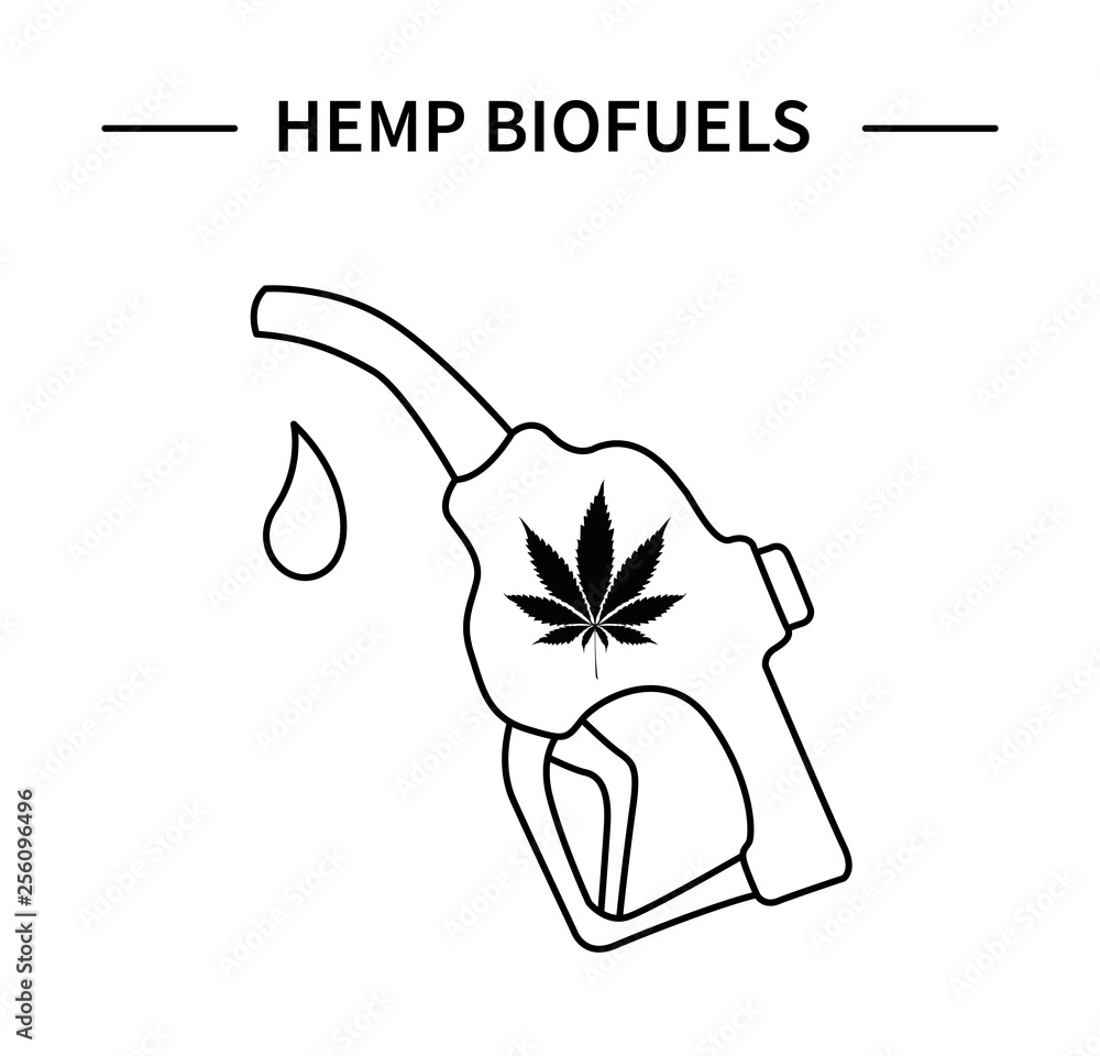 Obraz premium Template hemp icon 3