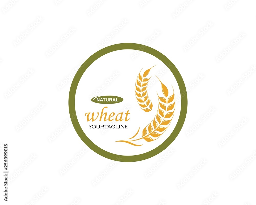 Agriculture wheat Logo Template vector icon Agriculture wheat Logo Template vector icon