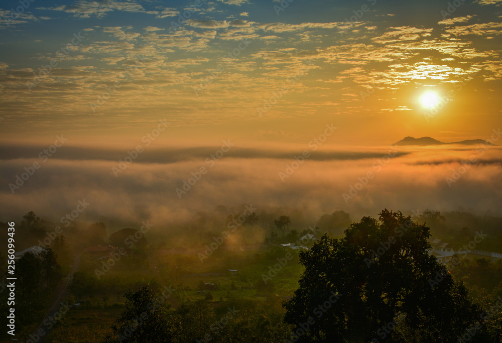 Fototapeta premium Fog sunrise over winter beautiful morning with misty cover