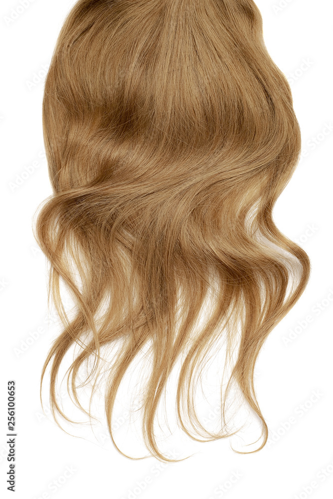 Naklejka premium Long wavy brown hair on white background