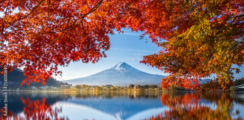 Colorful Autumn Season and Mountain Fuji with morning fog and red leaves at lake Kawaguchiko is one of the best places in Japan photo