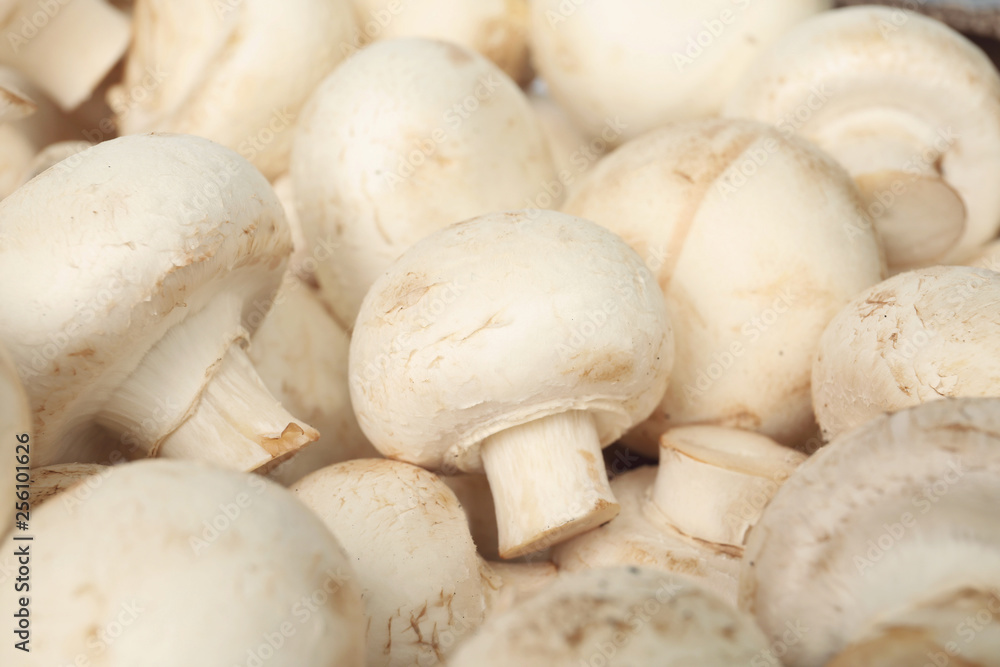 Fresh raw champignon mushrooms as background, closeup