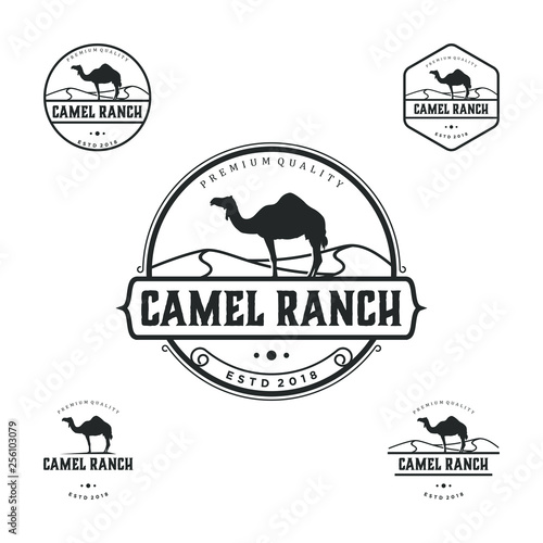 Camel ranch logo vintage