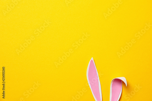 Wall Mural Funny Easter bunny ears on color background, top view with space for text
