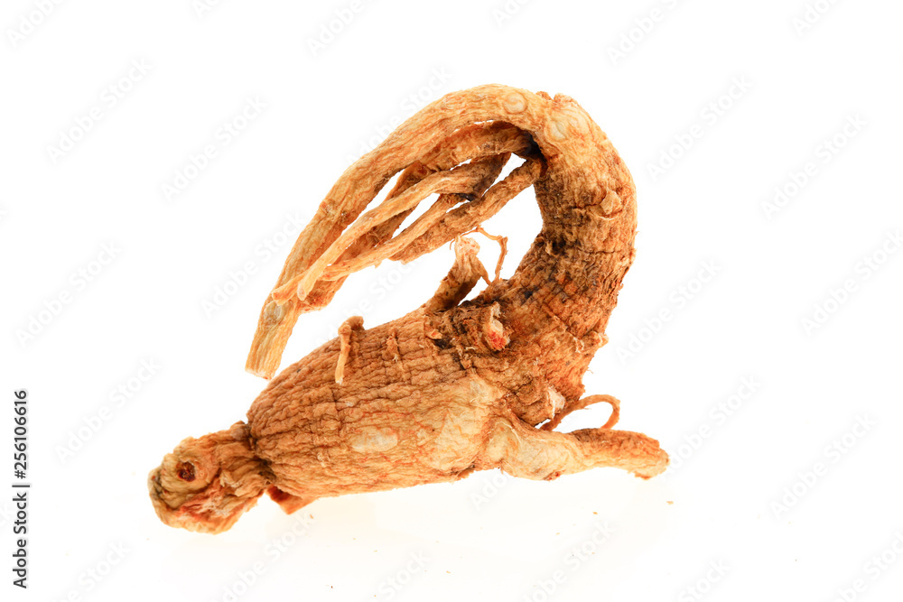 Fototapeta premium Ginseng on a white background