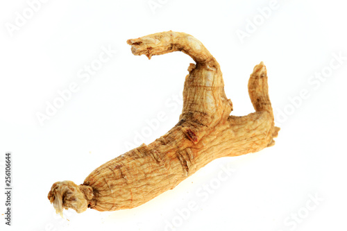 Ginseng on a white background © pdm