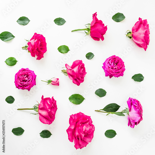 Floral composition of pink roses  petals and peonies on white background. Flat lay  Top view