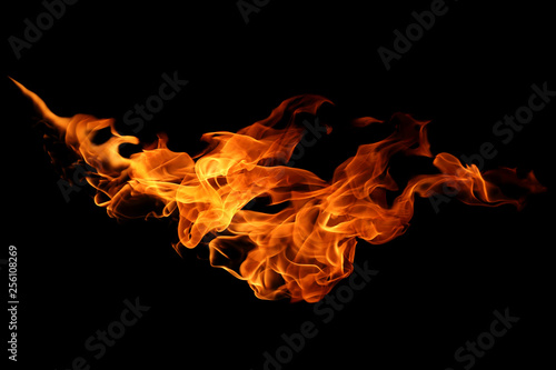 movement of fire flames isolated on black background © modify260