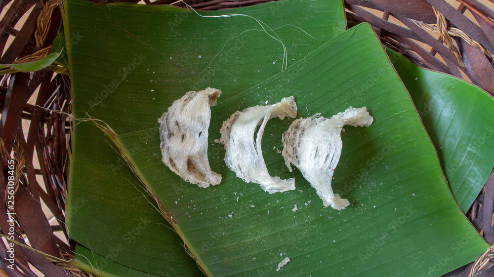 Obraz premium Close up of Edible or swiftlet bird nest.