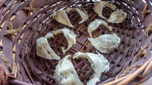 Close up of Edible or  swiftlet bird nest.