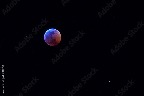 Fototapeta Naklejka Na Ścianę i Meble -  Super Blood Wolf Moon