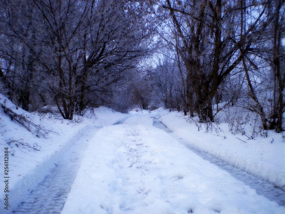 Naklejka premium OLYMPUS DIGITAL CAMERA