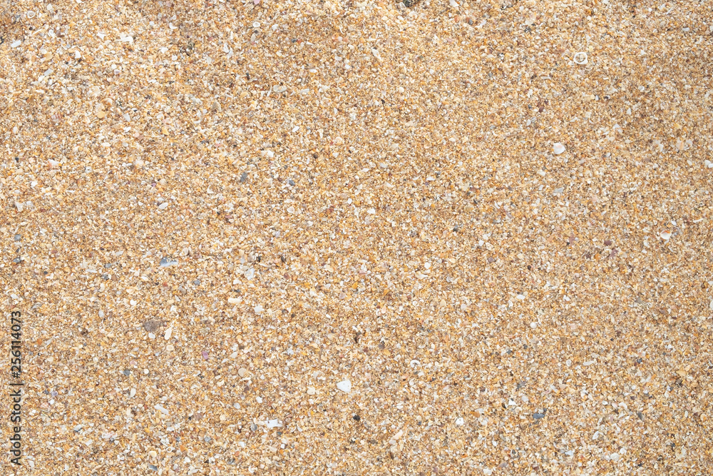 Small rock on the beach. sandy Soil pattern texture/background, The cracked earth/ground in drought, Soil texture and dry mud, Dry land. Small rock on the beach. sandy Soil pattern texture/background, The cracked earth/ground in drought, Soil texture and dry mud, Dry land.