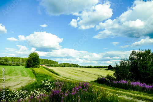 green field and blue sky, in Sweden Scandinavia North Europe