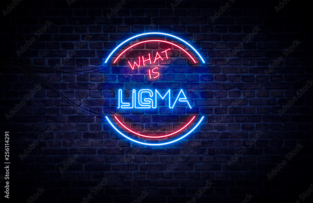 What is ligma 