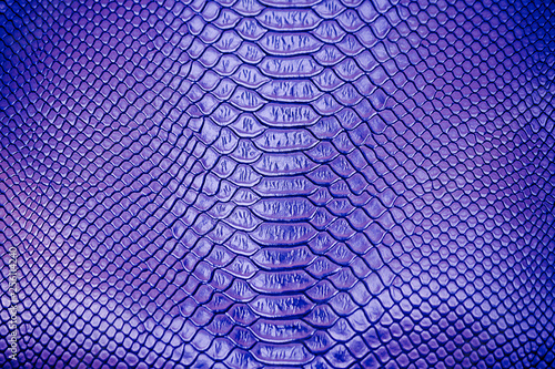 Close up of blue Luxury snake skin texture