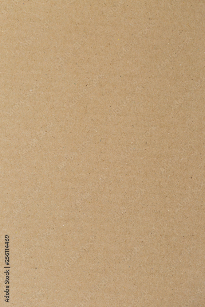 Obraz premium Texture Sheet of brown paper