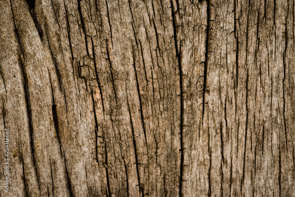 old wood texture old wood texture