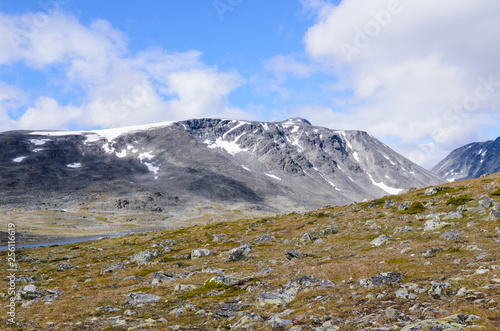 Norwegian fjaeldmark in the Jotunheimen national park