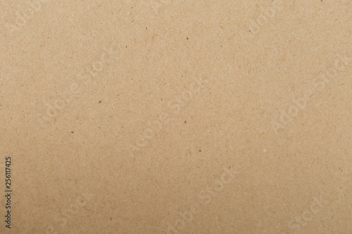 Tecture Sheet of brown paper