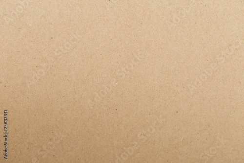 Tecture Sheet of brown paper