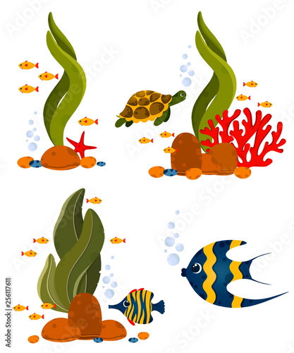 Underwater life elements. Cute ocean animals and corals. Use for postcard, print, packaging, etc.
