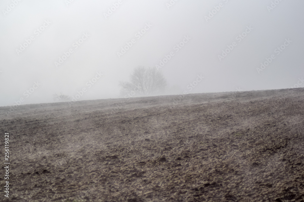 Feld im Morgennebel bei Wilhering in Oberösterreich Feld im Morgennebel bei Wilhering in Oberösterreich