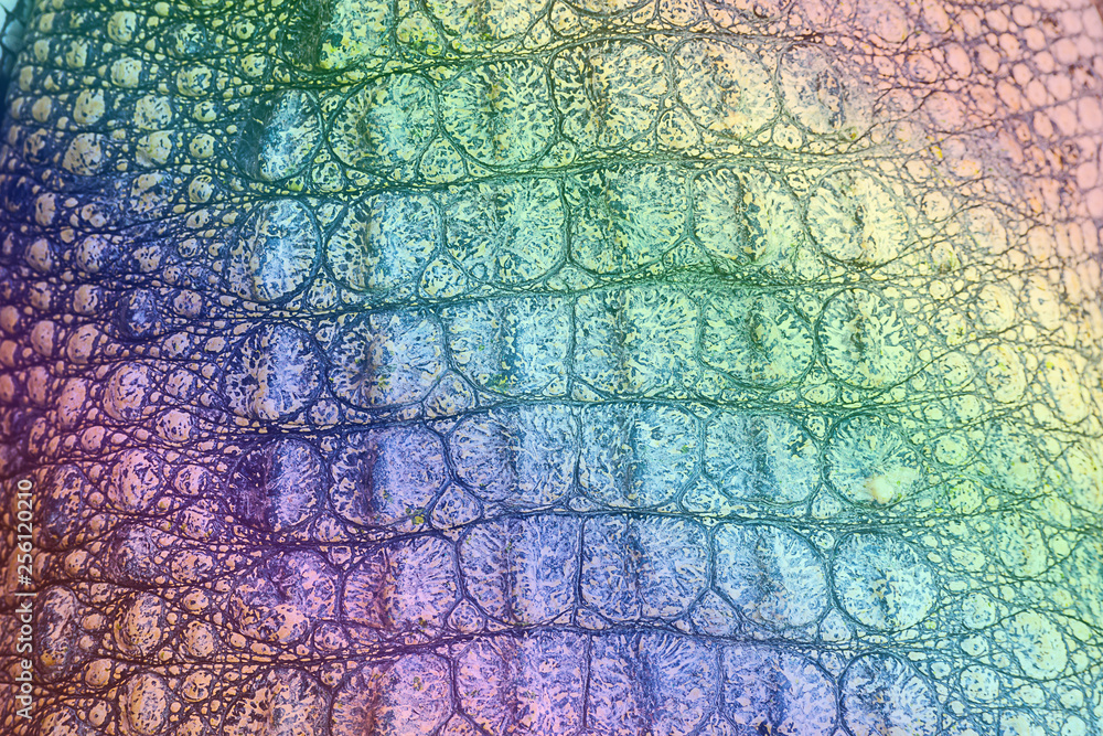 crocodile leather texture crocodile leather texture