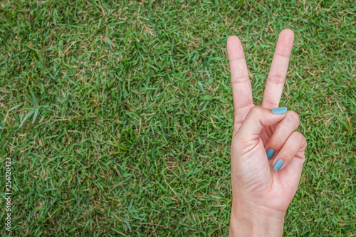 Woman hand holding up the peace sign or number two with two fingers on green grass © pandaclub23