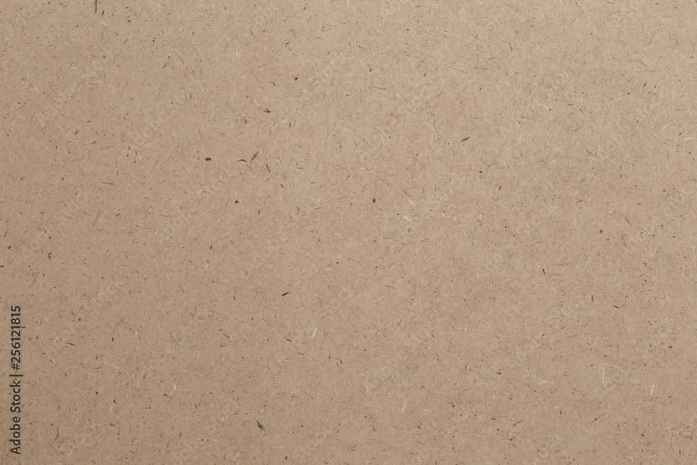 Texture Sheet of brown paper Texture Sheet of brown paper